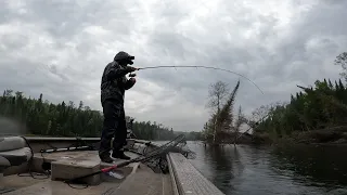 Journey to the Nipigon (Fishing for Salmon and Trout)