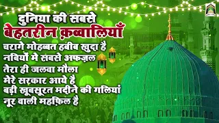 दुनिया की सबसे बेहतरीन क़व्वालियाँ | Madina Sharif New Qawwaliyan | Islamic Qawwali | 2024 Qawwali