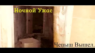 Страшная Ночь. Чепыш Вышел.