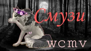 wcmv •|• смузи •|• wildcraft