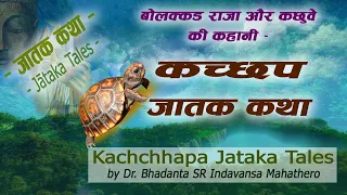 #314 | कच्छप जातक कथा | Kachchhapa Jataka Tales | Jatak#08