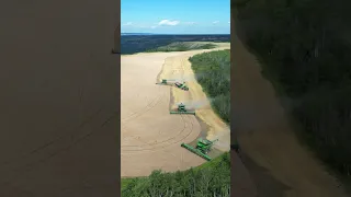 Drone footage from Barley Harvest on the banks of the Heart River. #drone #barley #johndeerex9