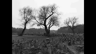 The German Nazi Death Camp of Treblinka guided tour with dr Tomasz Cebulski. Part 1.