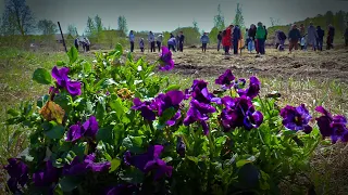 Сад связь поколений