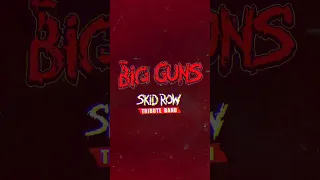 BIG GUNS - Skid Row Tribute Band -  Promo [Visualizer Video]