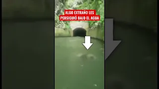 ALGO EXTRAÑO LES PERSIGUIÓ BAJO EL AGUA