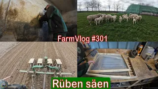 Farmvlog #301: Rüben säen und verputzen