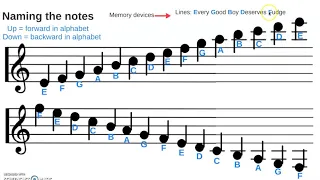 Note Names