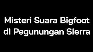 Misteri Suara Bigfoot di Pegunungan Sierra