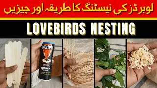 Best Nesting Material for Lovebirds | Parrots ko Nest Material Konsa Den | Bird Nesting Material