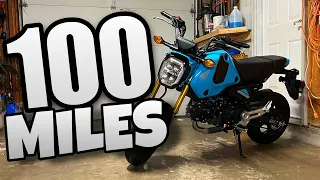 2024 Honda Grom Review!! 🛵💨 100 Mile UPDATE! (GO GET ONE!)