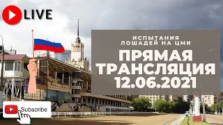 12.06.2021. Прямая трансляция с ЦМИ. Захватывающие бега.