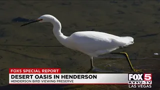 Henderson Bird Viewing Preserve described as 'hidden gem'
