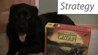 Settlers of Catan - Strategy Primer