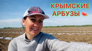 Работа в Крыму / Цаповка / Арбузы 🍉