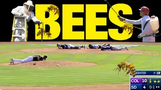 Swarm Africanized Killer Bees 🐝 Attack in Baseball Field