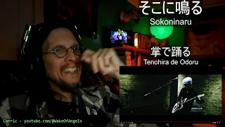 First Time Reaction - そこに鳴る Sokoninaru - 掌で踊る Tenohira De Odoru【Official Music Video】
