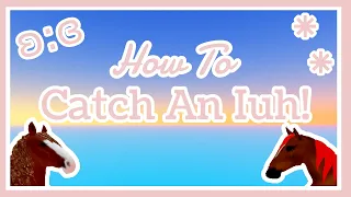 How To Catch An IUH, (3 Methods)! ~ Wild Horse Islands Roblox