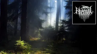 Ambient Music: Hiemal - Contemplation | FULL ALBUM