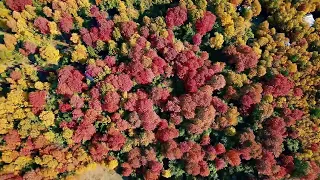 Colores de otoño en Recinto