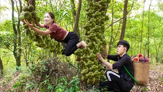 Harvesting Mutant Figs with Electrocuted Little Brother Goes to the market sell