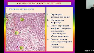 Жигар касалликлари патоморфологияси