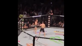 Khabib knocks down Conor McGregor - crowd reaction