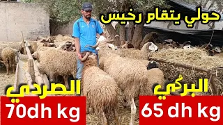 صدق أو لا تصدق حولي عيد الأضحى ديال الدرويش برݣي وصردي 0675060194 نواحي فاس عبد الكريم