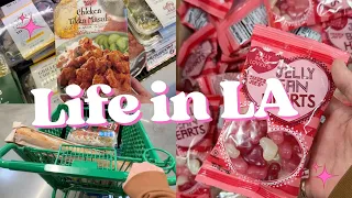 Life in LA : Trader Joe's cute love-theme products, grocery shopping, garlic toast, baked beans