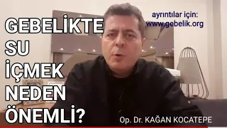 Gebelikte su içmek neden önemlidir? Önerilen su tüketimi ne kadardır? Az su içmek sorun yaratır mı?