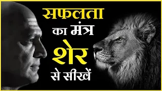 शेर से सीखे सफलता का मूलमंत्र  Lion Success Mantras by Chanakya Niti by stmotivation