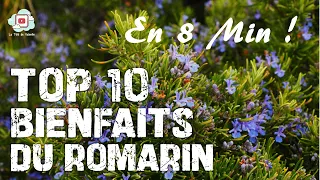 10 Health Benefits of Rosemary 🌿