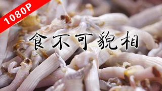 The taste of Laoguang Season 6 ep1｜Don't Judge A Dish By Its Looks
