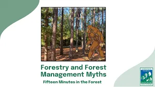 Fifteen Minutes in the Forest: Forestry and Forest Management Myths