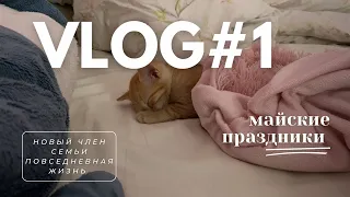 VLOG#1 : майские праздники, новый член семьи, моя повседневная жизнь