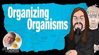 Organizing Organisms (feat. AronRa) - (Ken) Ham & AiG News