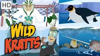 Wild Kratts 🧊⛸️🏔️ Over and Under the Ice ❄ Happy Holidays! ❄ Kids Videos