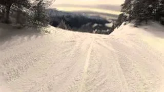 Hi Speed Ski Bike