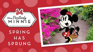 Spring Has Sprung | Positively Minnie | Disney Shorts