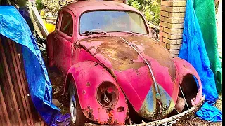 Abandoned barnfind 1959 VW Beetle saved from the scrapyard rare