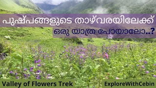 Valley of Flowers Trek | Heaven on Earth | Everything you should know