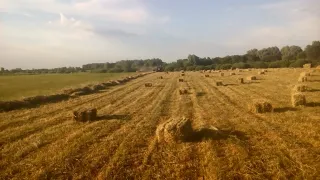 Люцерна. Сколько сена получилось с 1 га.