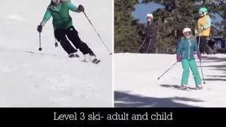 Snow School Level 3 Ski