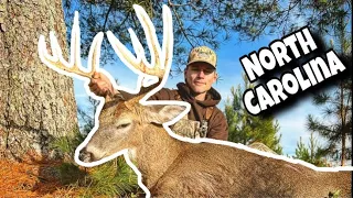 BIG BUCK DOWN! (Self Filmed) - Trophy North Carolina Whitetail