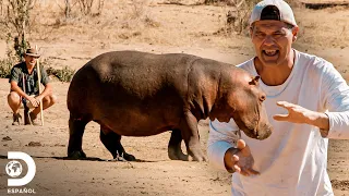 Interrumpen siesta de un hipopótamo y ven rinocerontes | Wild Frank vs Darran | Discovery En Español