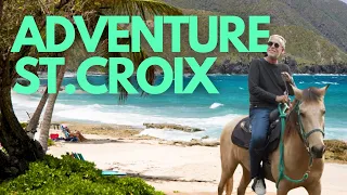 The Best of St. Croix: A Local's Guide