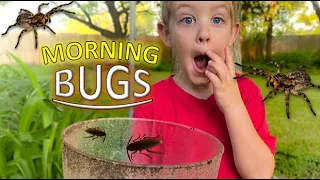 MORNING BUG HUNT for REAL Bugs! LIZARD, Spiders, Roly Polys, EARWIGS, Toads, WORMS & MORE for KIDS!!