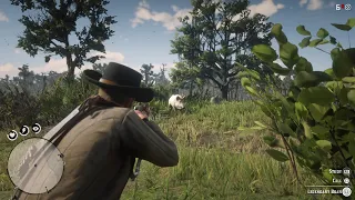 Red Dead Redemption 2: Hunting The Legendary Boar Animal And Location - PS5 No Commentary