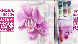Орхидея акварелью. Мастер-класс Митрофановой Оксаны плюс Обзор розовых красок