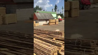 Wood production